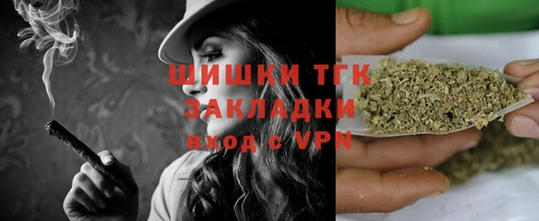 спиды Новодвинск