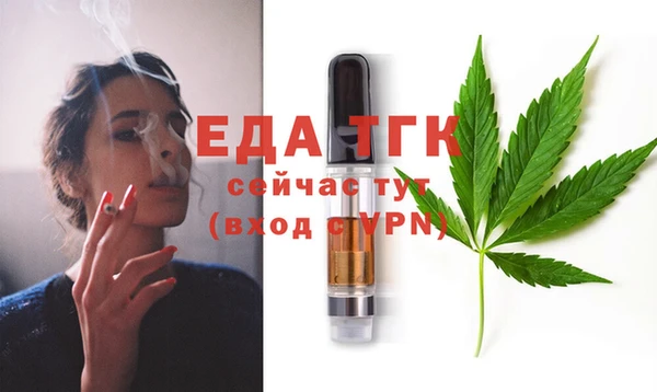 спиды Новодвинск