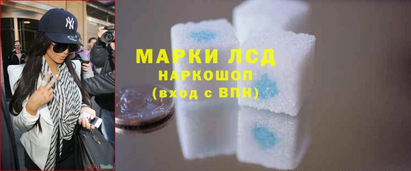 спиды Новодвинск