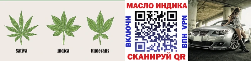 Купить закладки  Сосновоборск  Дистиллят ТГК THC oil 
